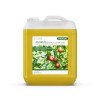 Kitama Huile de Jojoba pressée à froid 5l 5000ml - 100% Pure - Naturelle & végétalien - soin pour Cheveux, Corps, Peau - Ma