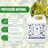 NATURAWA Huile de Neem durable, ingrédients végétaux et naturels, 100 % pure Virgen, pressée à froid, non toxique pour plante