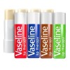 Vaseline Lip Therapy | Baume à lèvres hydratant | Set de 4 sticks Rosy, Original, Cocoa Butter et Aloe Vera Set de 4 Sticks 