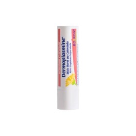 Dermoplasmine stick lèvres Au calendula - Hydrate et apaise - Lot de 2 sticks de 4 g