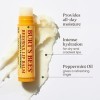 Burts Bees 100% Natural Moisturising Baume à Lèvres Original Beeswax avec Vitamin E/Peppermint Oil/Honey 17 g