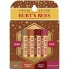 Burts Bees Baume à lèvres hydratant 100 % naturel, assortiment dautomne, thé chai, épice de citrouille, érable vanille, gre