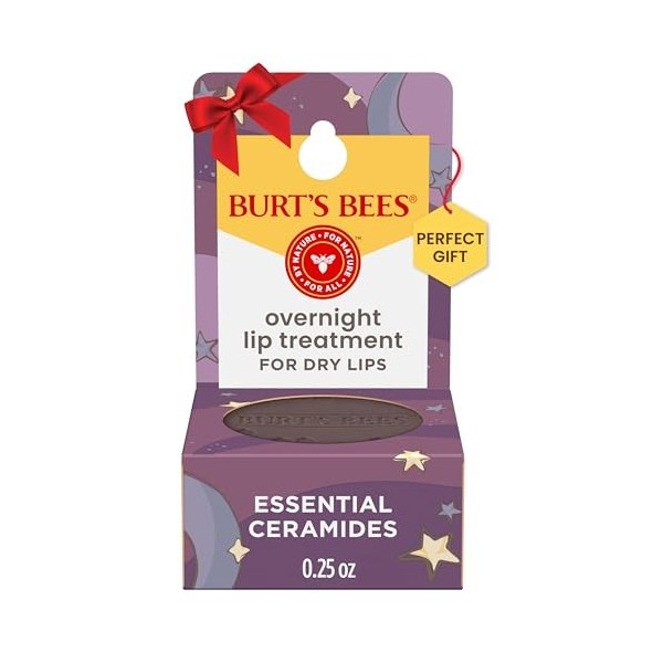 Burts Bees Overnight Intensive Lip Treatment for Women 0.25 oz Lip Treatment