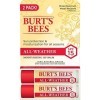 Burts Bees Lot de deux baumes à lèvres hydratants toutes saisons SPF 15 pour baume à lèvres unisexe 2 x 0,15 oz