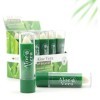 Beauty4Britain 36 x Baume à Lèvres Aloe Vera Taille Complète 3 Boîtes x 12 pcs Vente en Gros Unisexe