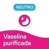 Vaselina Labial Neutro 20 Ml