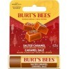 Baume à lèvres Burt’s Bees | Baume à lèvres hydratant saveur caramel salé, avec cire d’abeille issue de filières responsables