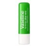 Vaseline Lip Therapy Aloe| Baume à lèvres nourrissant | Hydratant pour les lèvres 1 x 4.8g 