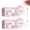 2 Pièces Gommage pour les Lèvres, Lip Scrub, Exfoliant pour les Lèvres Peut Réparer et Diminuer les Rides des Lèvres, pour él