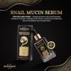 ImpressionZ Instant Visible Glow Snail Serum for Face - Collagen Enhancing Hydrating Serum with Snail Secretion Filtrate for 