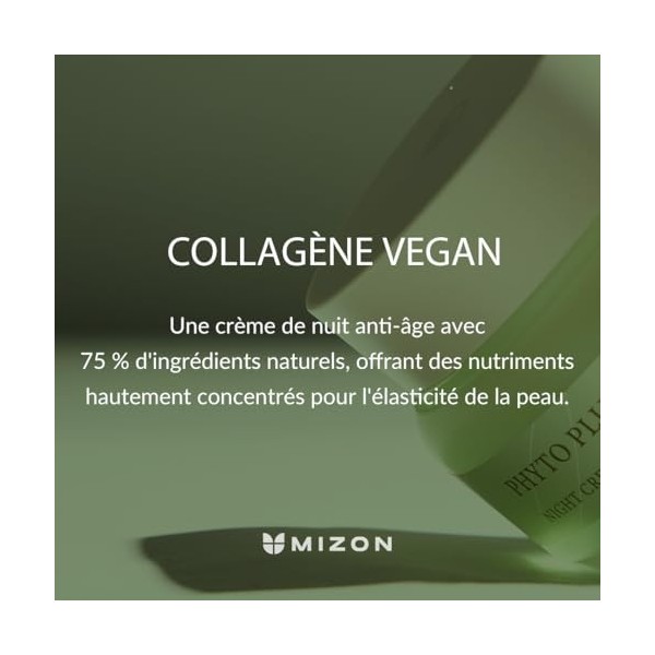 [MIZON] PHYTO PLUMP COLLAGEN NIGHT CREAM 50 ml Soin coréen - Crème de Nuit Collagène Vegan - Hydratation Intense et Régénér