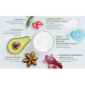 Crème de nuit anti-rides et anti-pollution Aphrodite. Soin quotidien de nuit pour apaiser la peau et améliorer lélasticité d