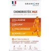 GRANIONS CHONDROSTEO+ MAX - Collagene Marin + Acide Hyaluronique + Curcuma + Cuivre + Curcuma + Bromelaine + Vitamine D3 - Co