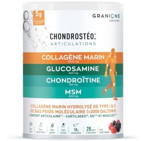 GRANIONS - CHONDROSTEO - Collagene Marin + Magnesium + Vitamine D + Calcium - Articulations Douloureuses - Collagen Hydrolysé