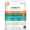GRANIONS - CHONDROSTEO - Collagene Marin + Magnesium + Vitamine D + Calcium - Articulations Douloureuses - Collagen Hydrolysé