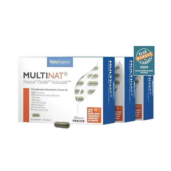 Laboratoire NaturAvignon Multivitamines 27 nutriments biodisponibles | Zinc, Magnésium, Spiruline, Vitamines A B C D3 E K2 | 