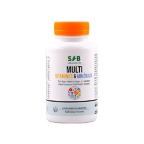Multivitamines et Minéraux - Calcium, Magnésium, Vitamine B1, B2, B3, B5, B6, B8, B9, B12, Vitamine C, Vitamine E, Zinc, Cuiv