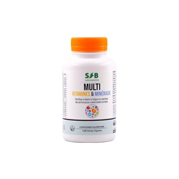 Multivitamines et Minéraux - Calcium, Magnésium, Vitamine B1, B2, B3, B5, B6, B8, B9, B12, Vitamine C, Vitamine E, Zinc, Cuiv