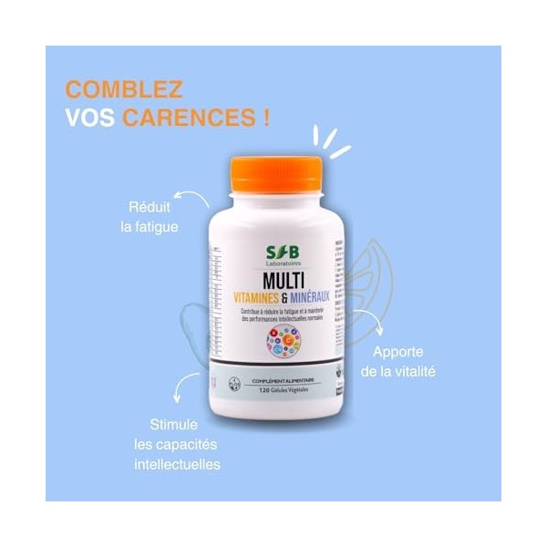 Multivitamines et Minéraux - Calcium, Magnésium, Vitamine B1, B2, B3, B5, B6, B8, B9, B12, Vitamine C, Vitamine E, Zinc, Cuiv