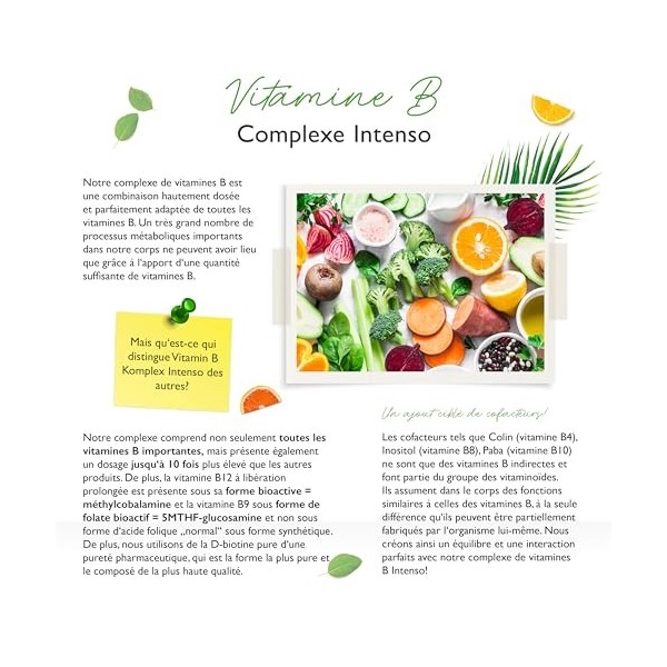 Complexe de vitamines B - 240 gélules 8 mois - Jusquà 10 fois plus dosé - Avec formes bio-actives + Quatrefolic® + co-fact