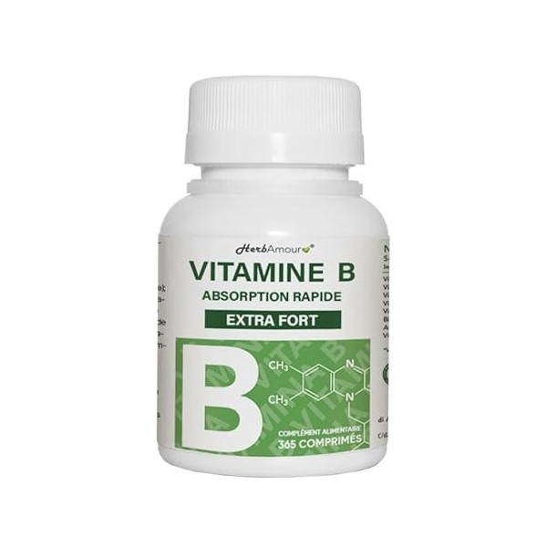 VITAMINE B EXTRA FORTE | 365 Comprimés Stock Pour 12 Mois | Complexe de Vitamine B Avec Vitamine B1, B2, B3, B5, B6, B12, A