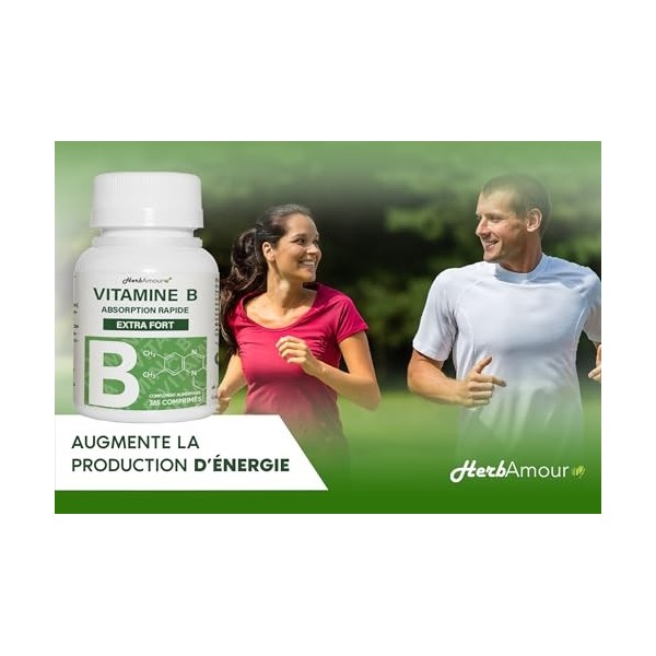 VITAMINE B EXTRA FORTE | 365 Comprimés Stock Pour 12 Mois | Complexe de Vitamine B Avec Vitamine B1, B2, B3, B5, B6, B12, A