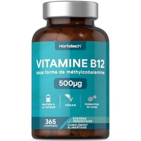 Vitamine B12 Vegan | 365 Comprimés pour 1 An | 500 mcg | Complément Alimentaire Avec Méthylcobalamine | Vitamin B12 Methylcob
