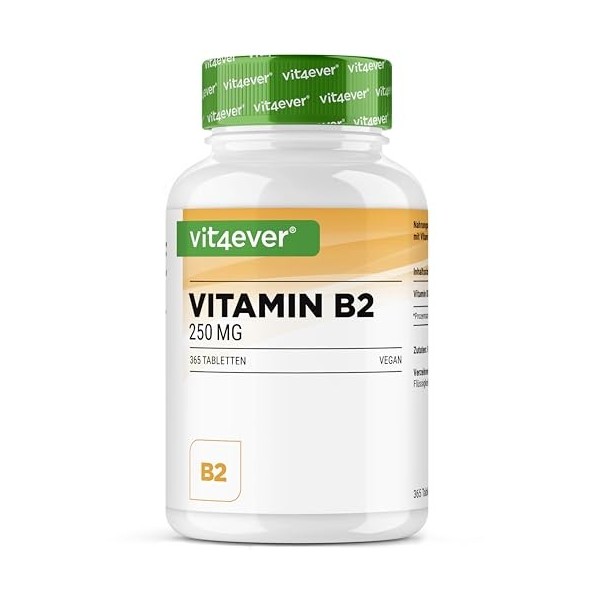 Vitamine B2 Riboflavine - 250 mg - 365 comprimés - Haute dose - Sans additif indésirable - Vegan