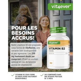 Vitamine B2 Riboflavine - 250 mg - 365 comprimés - Haute dose - Sans additif indésirable - Vegan