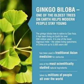 Endotelio 1-MNA Brain, Supplément Anti-âge, Optimise le NAD+, avec Ginkgo Biloba, Zinc, Biotine, Vitamines C, B1, B5, B6, B12