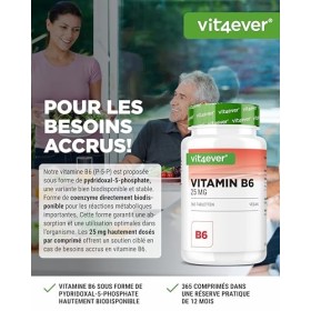 Vitamine B6 sous forme de P-5-P - 365 Comprimés - Hchdosée à 25 mg Pyridoxal-5-phosphate - Premium : Vitamine B6 Bioactive 