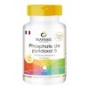 Pyridoxal-5-Phosphate 100 mg - 120 gélules de P-5-P avec 25 mg de zinc, 68,5% de vitamine B6 | Warnke Vitalstoffe - Qualité d