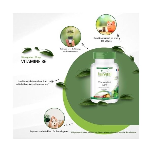 Fairvital | Vitamine B6 20mg - BOITE de 180 gélules pour 6 MOIS - VEGAN - Pyridoxine