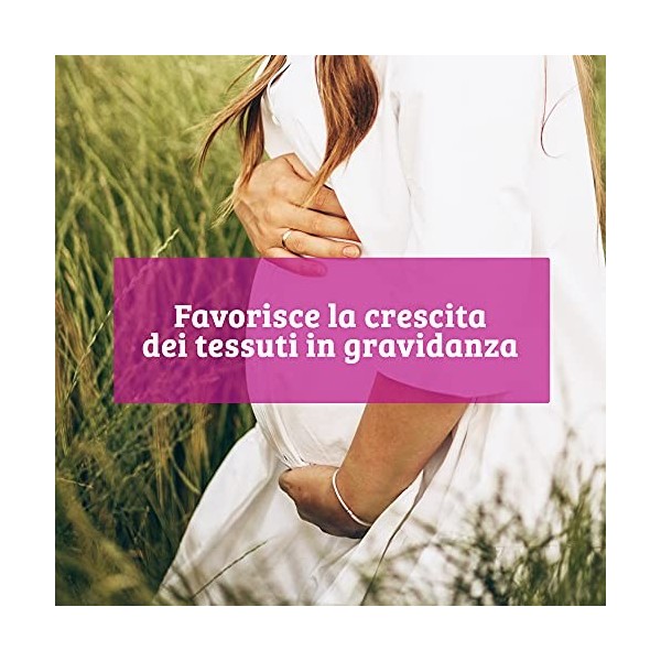 Acide folique 400 mcg - Supplément de soutien à la croissance des tissus maternels Sans gluten Vegan Pregnancy, 120 Comprimés