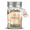 Herbes du Monde - Propolis Haute Teneur 90 Gélules: Cure de 1 Mois, 100% Végétal, Qualité Supérieure, Booste Système Immunita