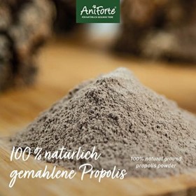 AniForte Propolis Poudre pour Chiens et Chats 20g - Soutien Naturel du système immunitaire