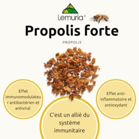 Lemuria - Propolis Forte E.T. - Utile contre les maux de gorge et les rhumes - Complément alimentaire 100% naturel - 100 ml -