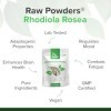 Rhodiola Rosea - Capsules de haute puissance - Suppléments à base de plantes pour soulager le stress - Rhodiola Suppléments v