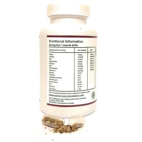 Capsules dalgues marines irlandaises chrondrus crispus certifiées biologiques récoltées sur la côte Atlantique Nord de lI