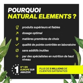 Green Routine – poudre végane de légumes verts pour le sport et le fitness – 17 superaliments, coenzyme Q10, citicoline, vita