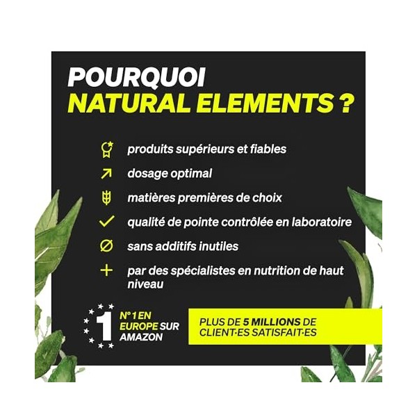 Green Routine – poudre végane de légumes verts pour le sport et le fitness – 17 superaliments, coenzyme Q10, citicoline, vita