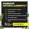 Green Routine – poudre végane de légumes verts pour le sport et le fitness – 17 superaliments, coenzyme Q10, citicoline, vita