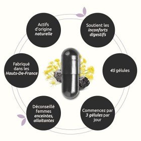 HERBESAN®-CARBOGAZ - Ballonements - Charbon végétal, Levure de Bière, Fenouil - Fabrication française - 45 gélules