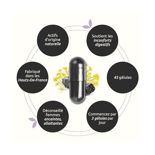 HERBESAN®-CARBOGAZ - Ballonements - Charbon végétal, Levure de Bière, Fenouil - Fabrication française - 45 gélules