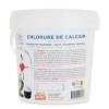 Déco Relief - Chlorure de Calcium 1 kg - Déshydratant pour Conserver Pièces en Sucre, Nougatine, Chocolat - Ingrédient Profes