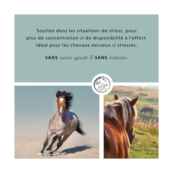 Pellets de Magnésium pour Chevaux 1 kg - Acétate de magnésium et oxyde de magnésium pour Une biodisponibilité maximale