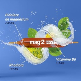 MAG 2 – Phyto Relax - Magnésium 300 mg, vitamine B6 et rhodiola - Stress et relaxant - Arôme naturel dorange - Complément al