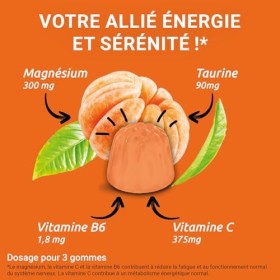 MAG 2 - Gommes BOOST - Magnésium, taurine, vitamines B6 et C - Anti-nervosité et anti-fatigue - Sans sucres ajoutés -Arôme na