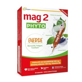 MAG 2 – Phyto Energie - Magnésium 300 mg, vitamine B6 et ginseng sibérien - Nervosité et Fatigue - Arôme naturel dorange - C