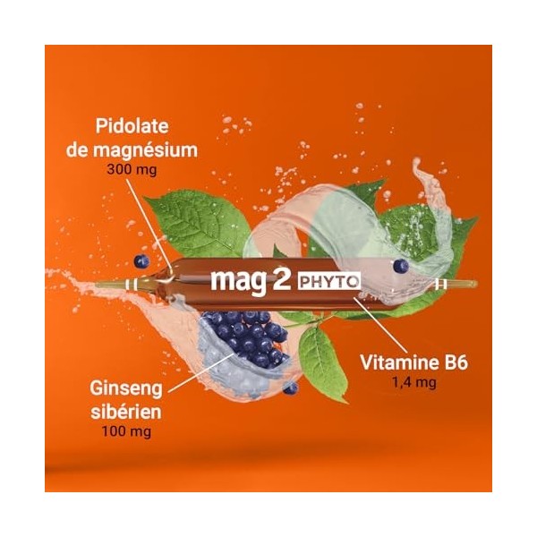 MAG 2 – Phyto Energie - Magnésium 300 mg, vitamine B6 et ginseng sibérien - Nervosité et Fatigue - Arôme naturel dorange - C